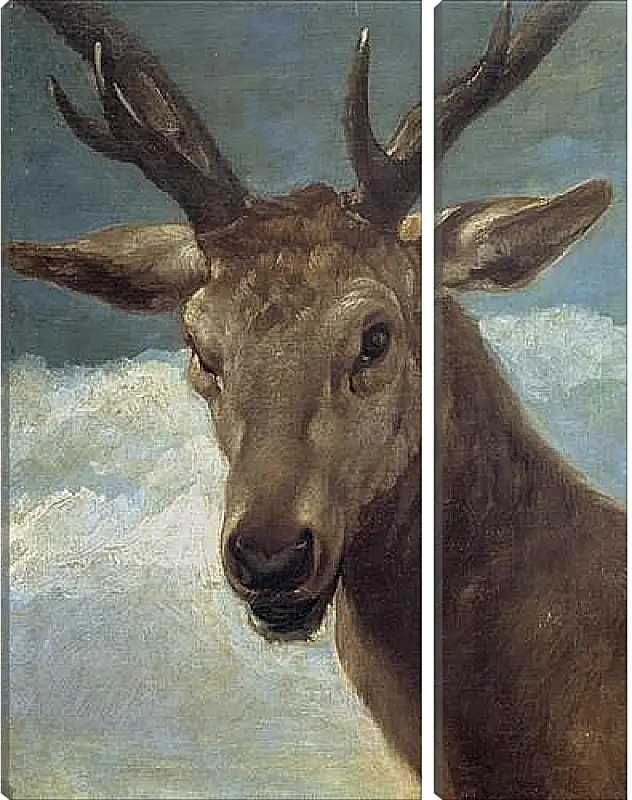 Модульная картина - Head of a Buck. Диего Веласкес