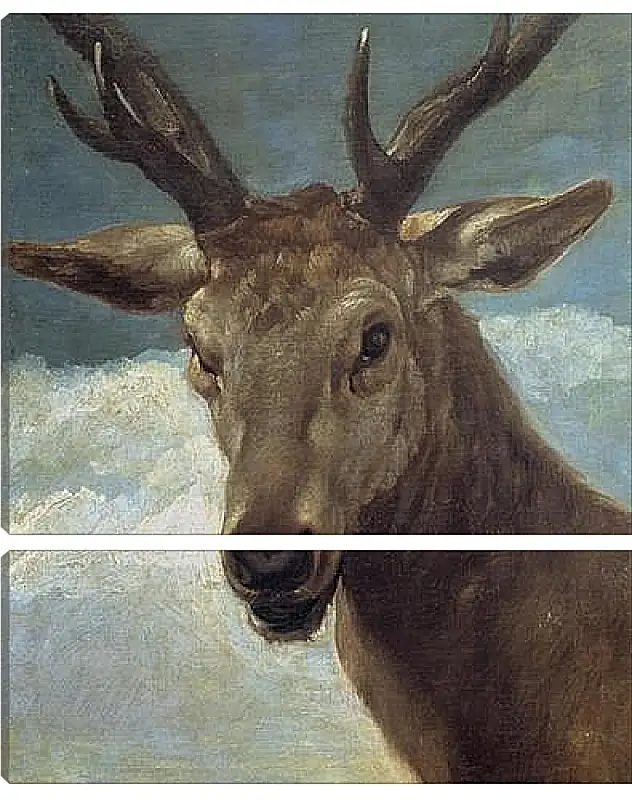 Модульная картина - Head of a Buck. Диего Веласкес