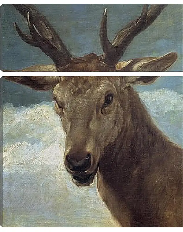 Модульная картина - Head of a Buck. Диего Веласкес