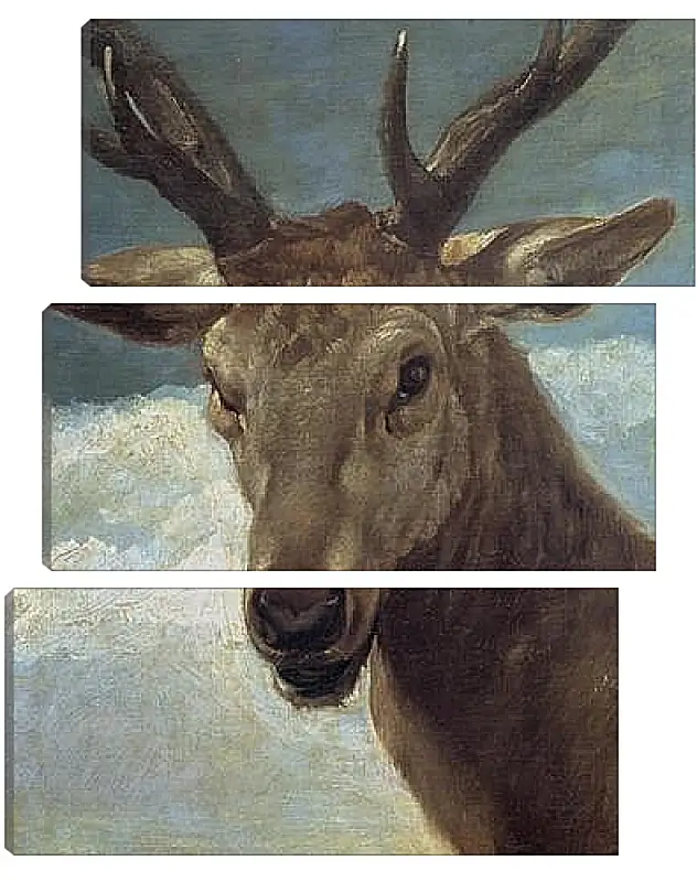 Модульная картина - Head of a Buck. Диего Веласкес