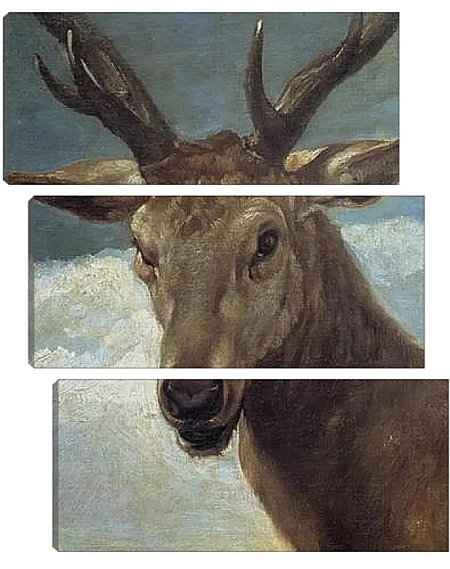 Модульная картина - Head of a Buck. Диего Веласкес