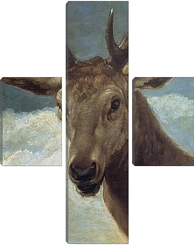 Модульная картина - Head of a Buck. Диего Веласкес