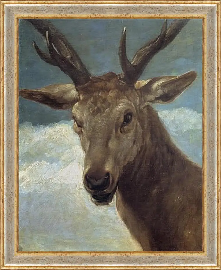 Картина в раме - Head of a Buck. Диего Веласкес