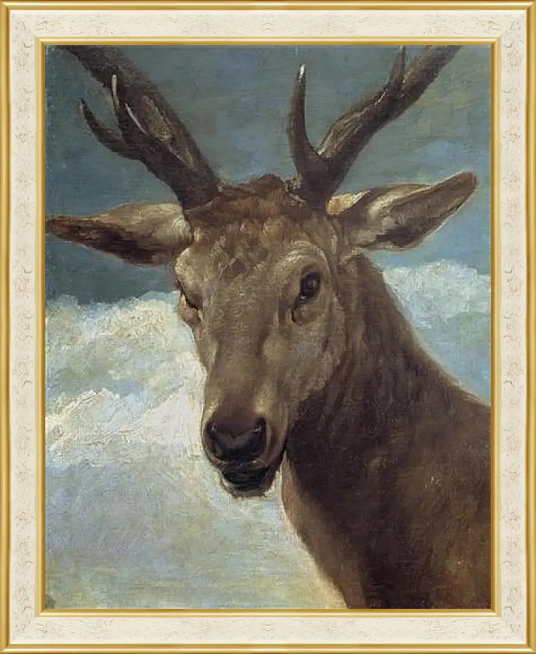 Картина в раме - Head of a Buck. Диего Веласкес