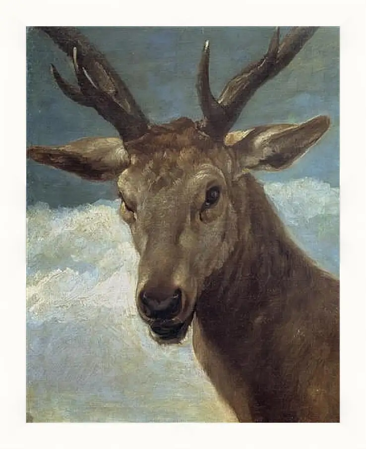 Картина в раме - Head of a Buck. Диего Веласкес