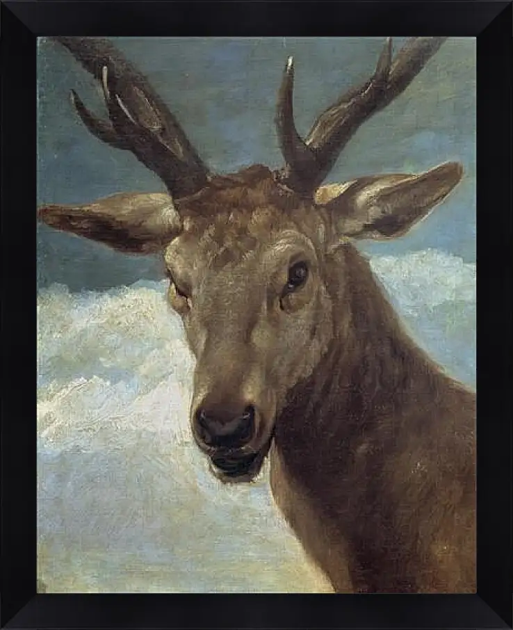 Картина в раме - Head of a Buck. Диего Веласкес