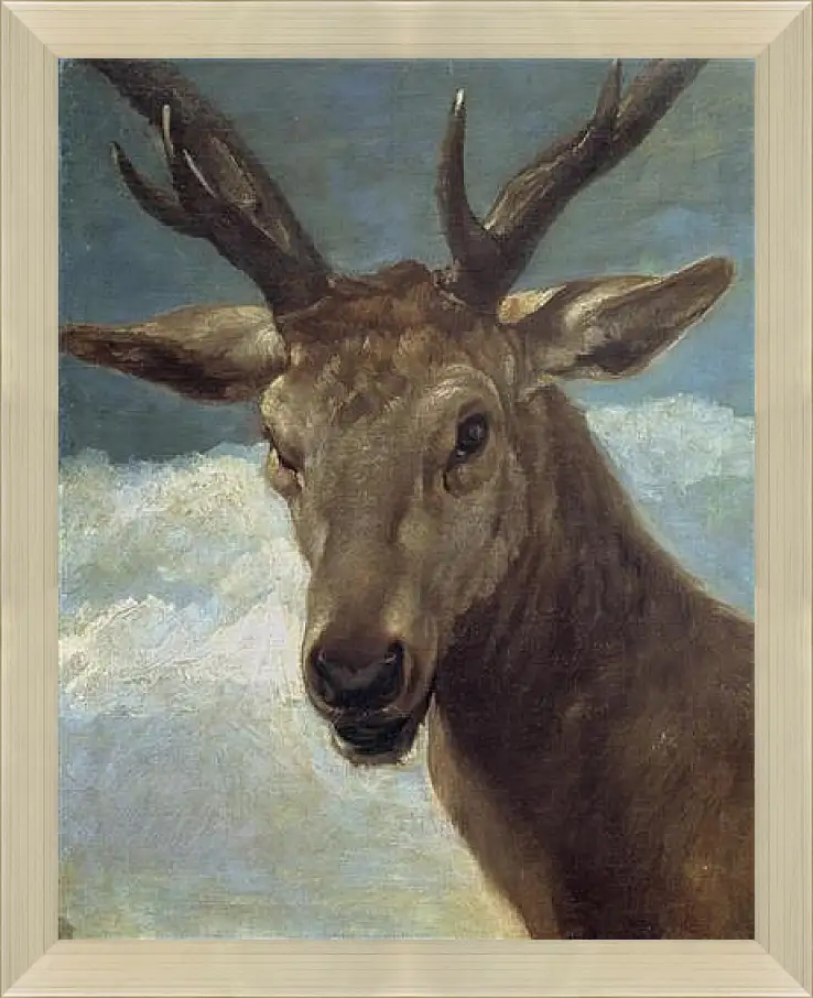 Картина в раме - Head of a Buck. Диего Веласкес