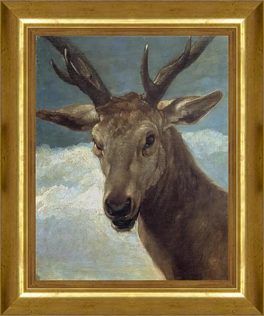 Картина в раме - Head of a Buck. Диего Веласкес