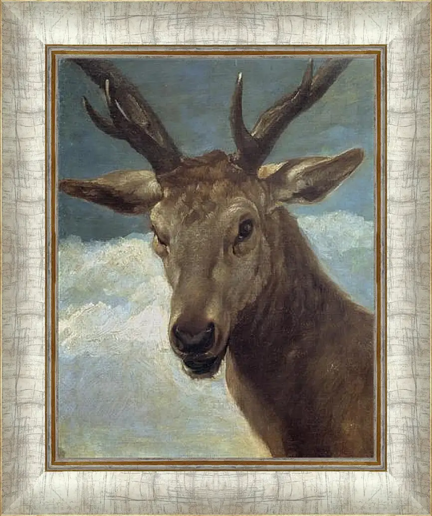 Картина в раме - Head of a Buck. Диего Веласкес