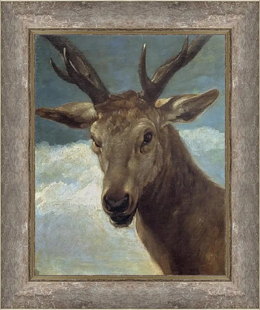 Картина в раме - Head of a Buck. Диего Веласкес