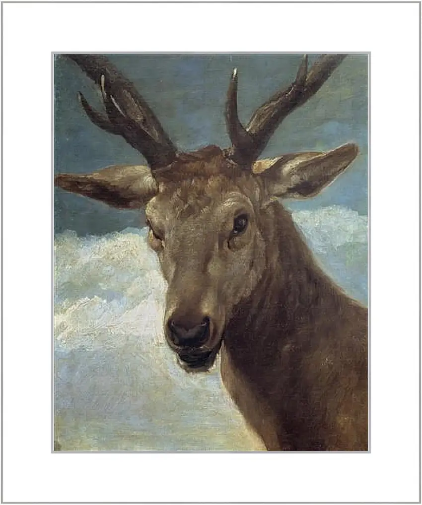 Картина в раме - Head of a Buck. Диего Веласкес