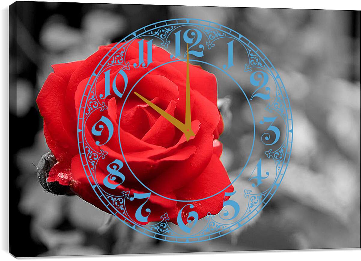 Часы картина - Красная роза