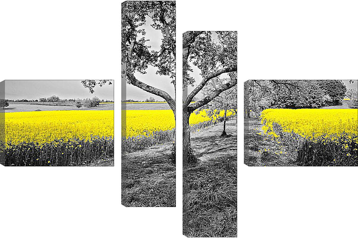Модульная картина - Поле жёлтых цветов