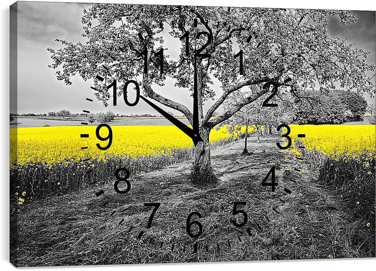Часы картина - Поле жёлтых цветов