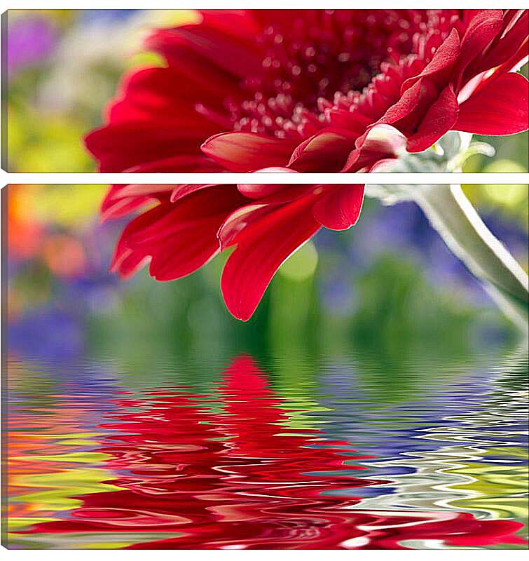 Модульная картина - Отражение цветка