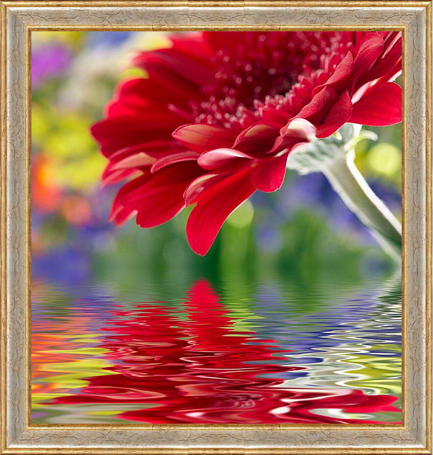 Картина в раме - Отражение цветка