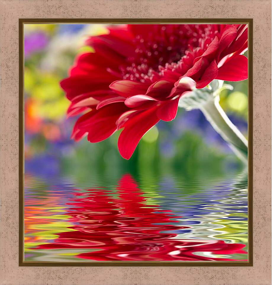 Картина в раме - Отражение цветка