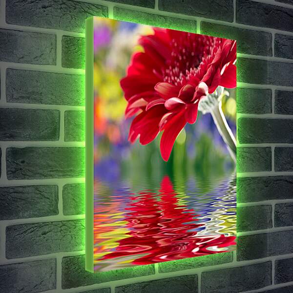 Лайтбокс световая панель - Отражение цветка