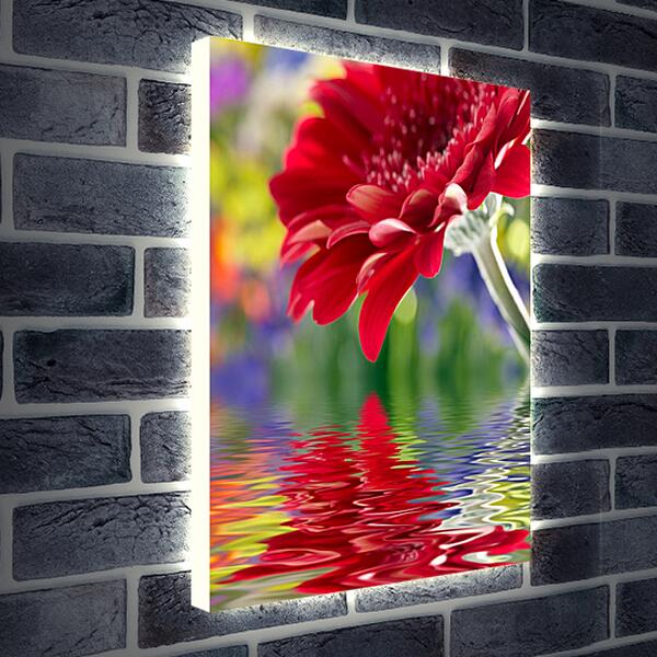 Лайтбокс световая панель - Отражение цветка