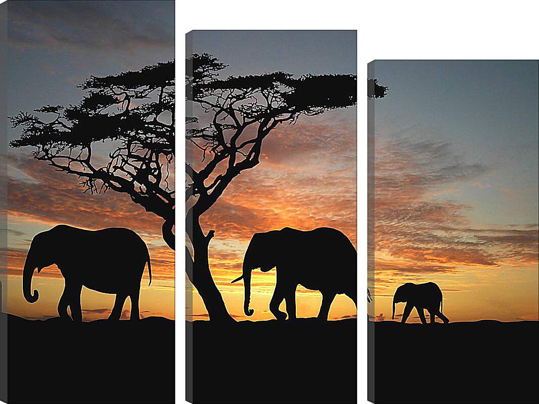 Модульная картина - Семья слонов на закате