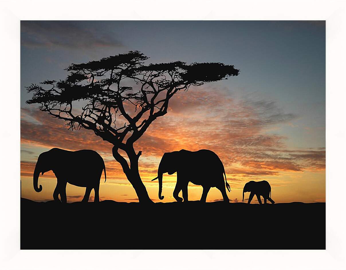 Картина в раме - Семья слонов на закате