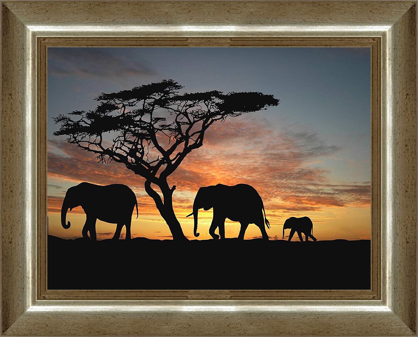 Картина в раме - Семья слонов на закате