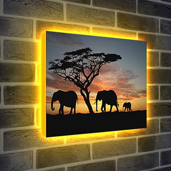 Лайтбокс световая панель - Семья слонов на закате