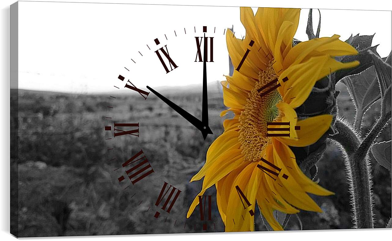 Часы картина - Подсолнух в поле