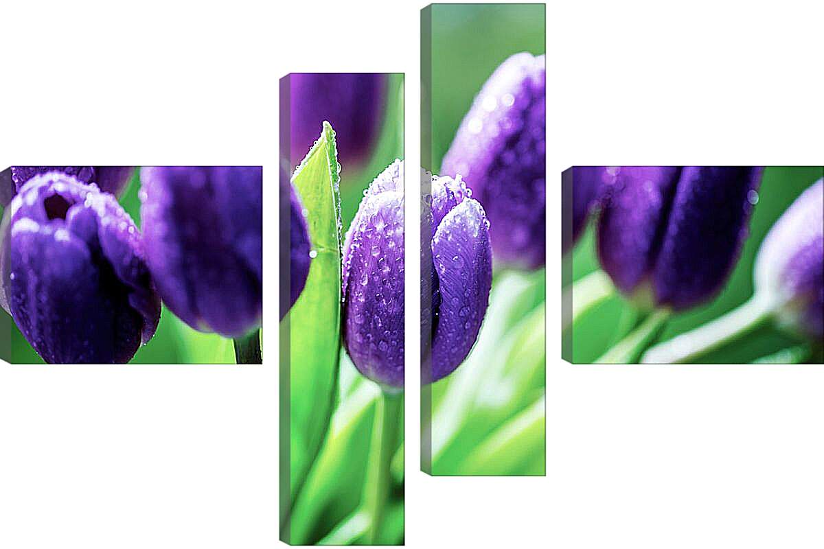 Модульная картина - Фиолетовые тюльпаны