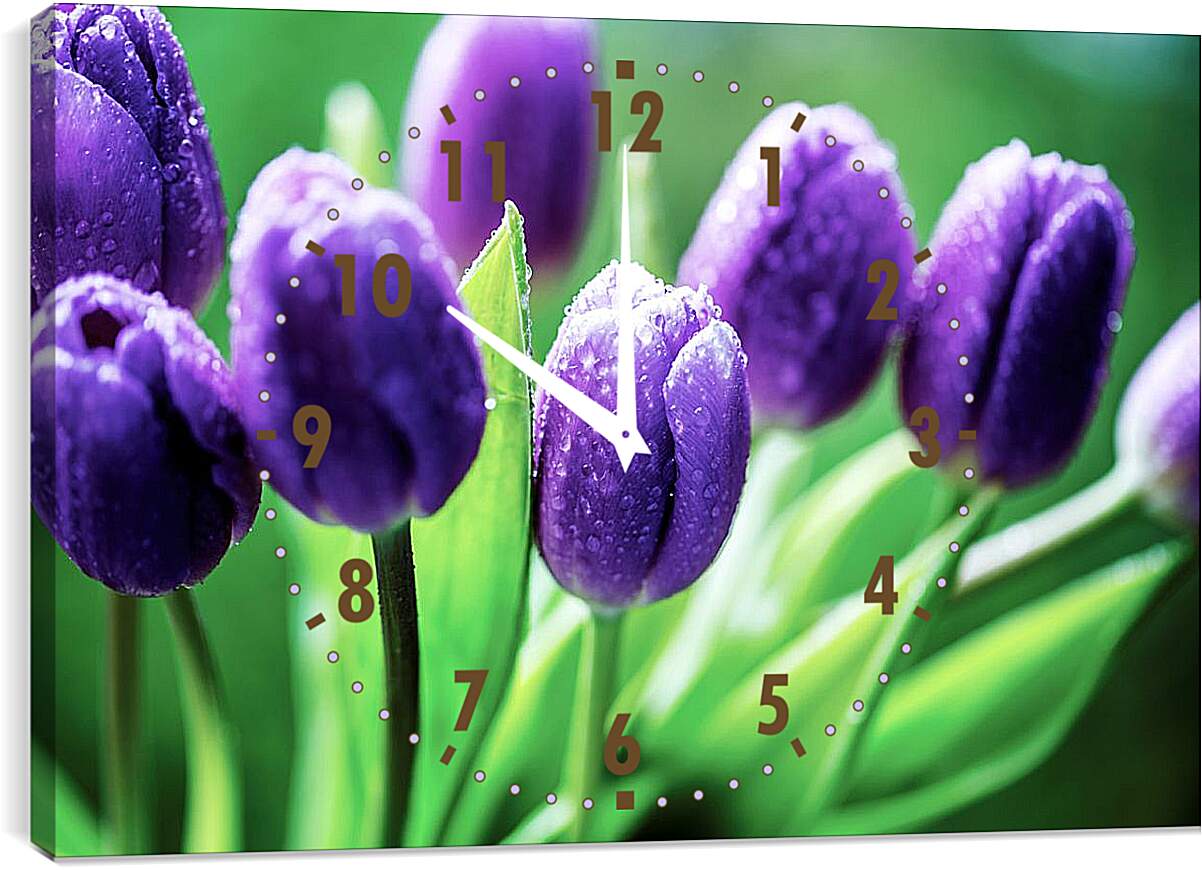 Часы картина - Фиолетовые тюльпаны