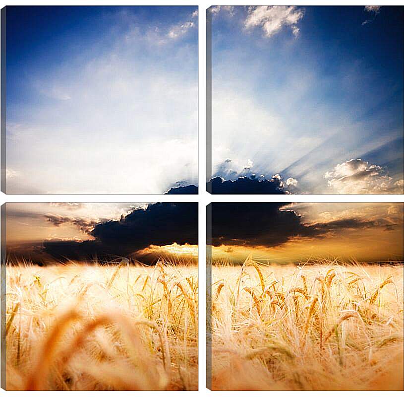 Модульная картина - Пшеничное поле и грозовое облако