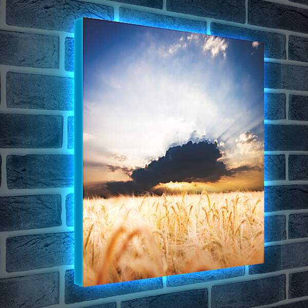 Лайтбокс световая панель - Пшеничное поле и грозовое облако
