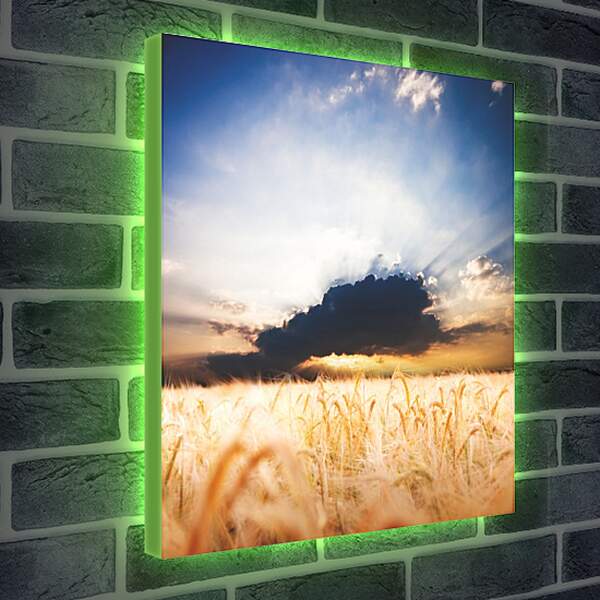 Лайтбокс световая панель - Пшеничное поле и грозовое облако