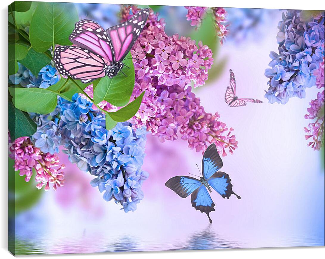 Постер и плакат - Сирень и бабочки