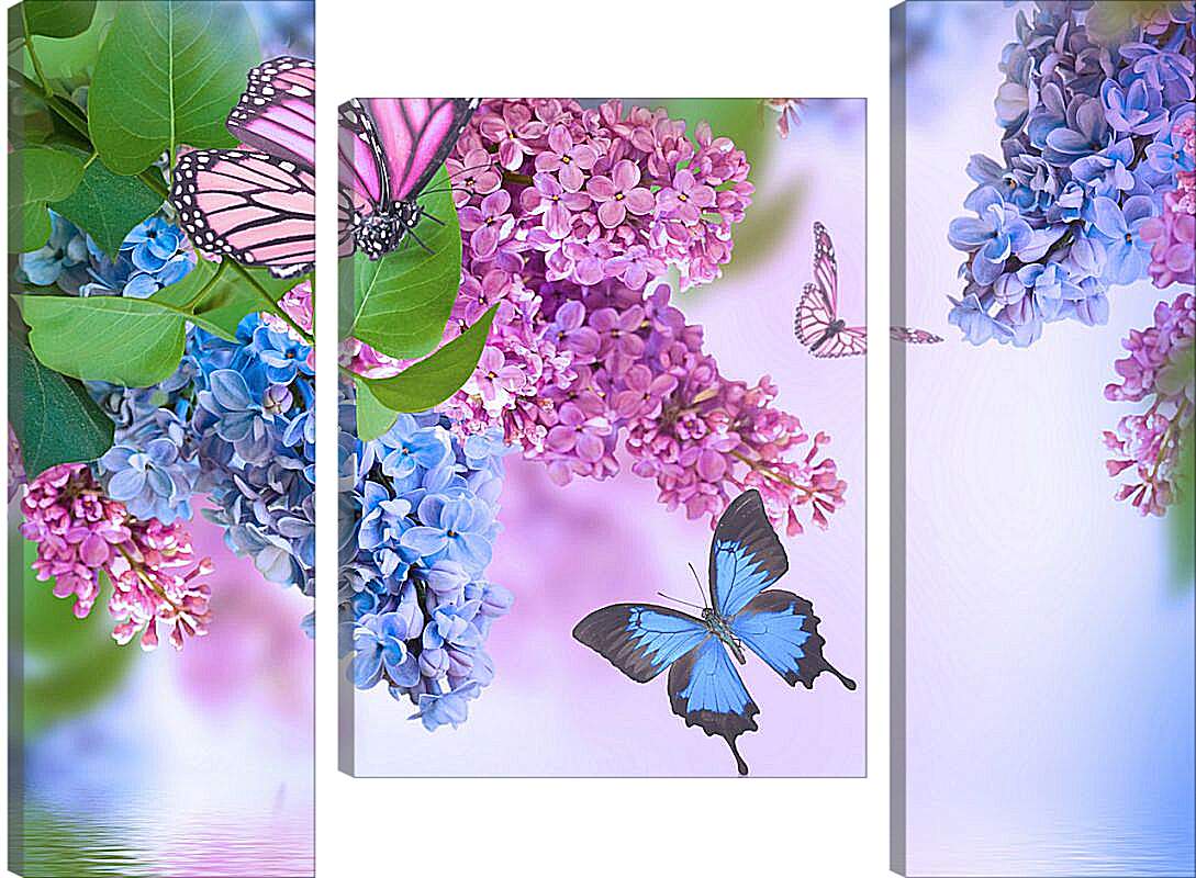 Модульная картина - Сирень и бабочки