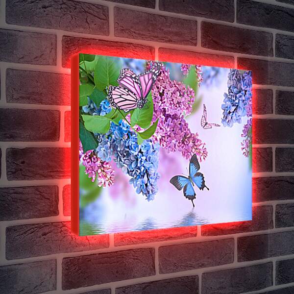 Лайтбокс световая панель - Сирень и бабочки
