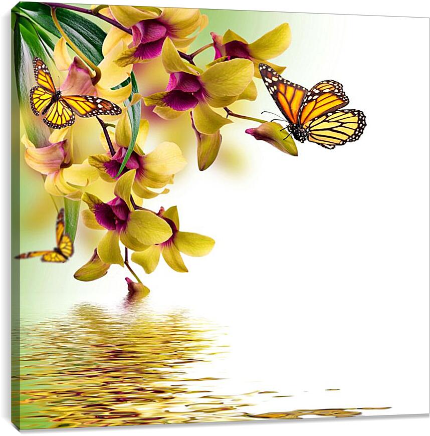 Постер и плакат - Желтые орхидеи и бабочки