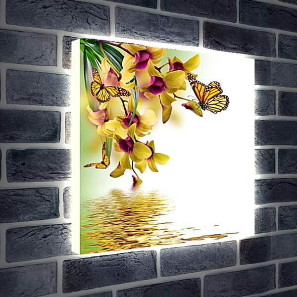 Лайтбокс световая панель - Желтые орхидеи и бабочки