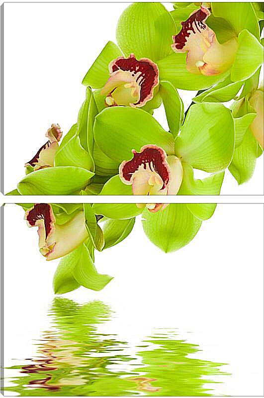 Модульная картина - Зеленые цветы и вода