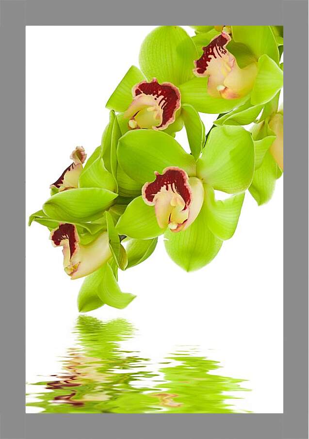 Картина в раме - Зеленые цветы и вода