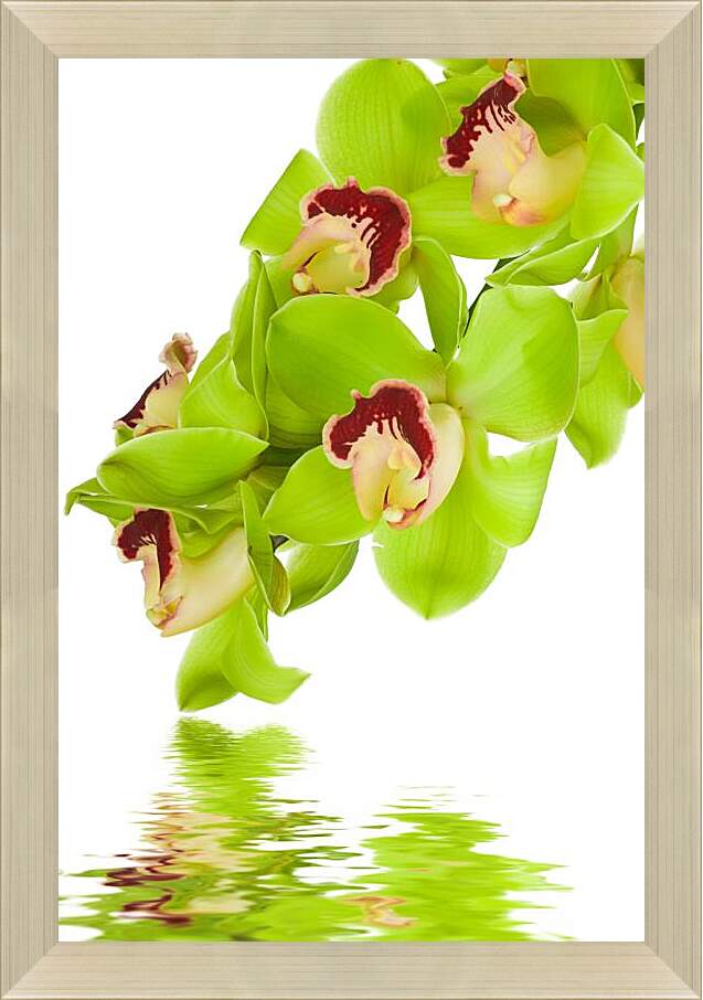 Картина в раме - Зеленые цветы и вода
