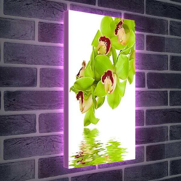 Лайтбокс световая панель - Зеленые цветы и вода