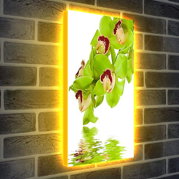 Лайтбокс световая панель - Зеленые цветы и вода