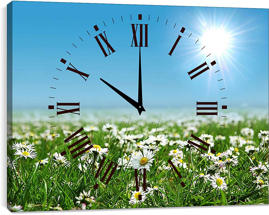 Часы картина - Яркое солнце и ромашки