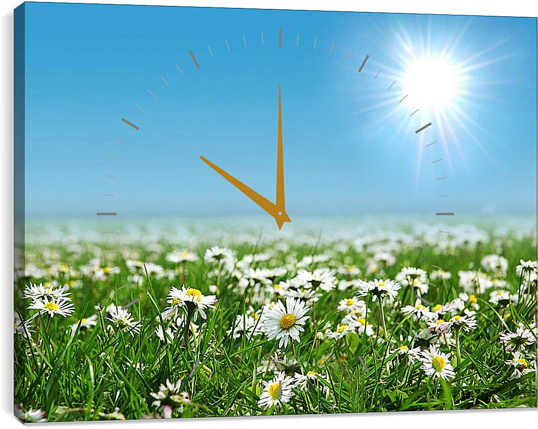 Часы картина - Яркое солнце и ромашки