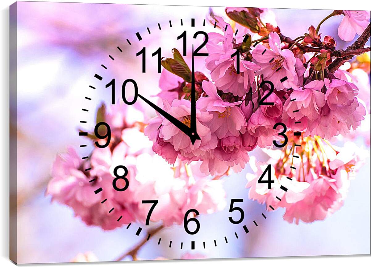 Часы картина - Розовые цветы сакуры