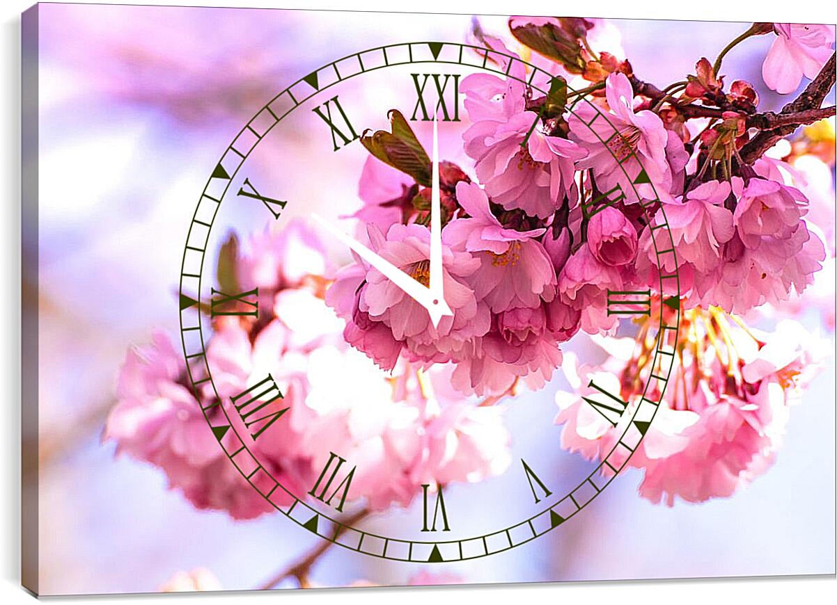 Часы картина - Розовые цветы сакуры
