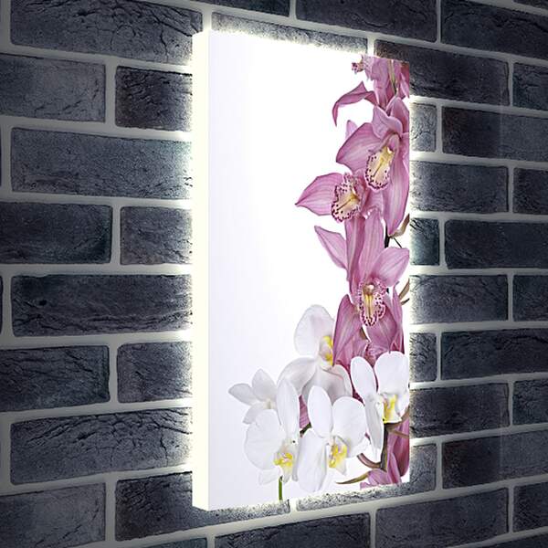 Лайтбокс световая панель - Розовые цветы