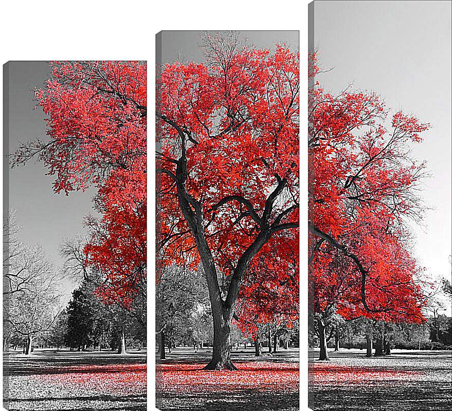 Модульная картина - Красная листва