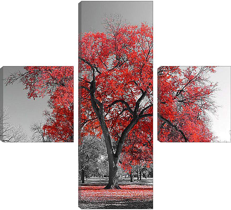 Модульная картина - Красная листва